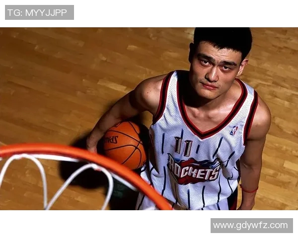 姚明的传奇之路从0到1的篮球人生与奋斗故事 姚明的传奇之路从0到1的篮球人生与奋斗故事