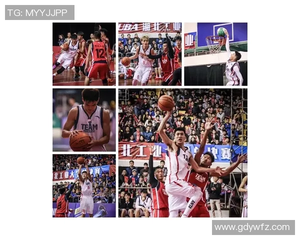 篮球明星推荐的环保一次性水杯选择指南让你运动更时尚